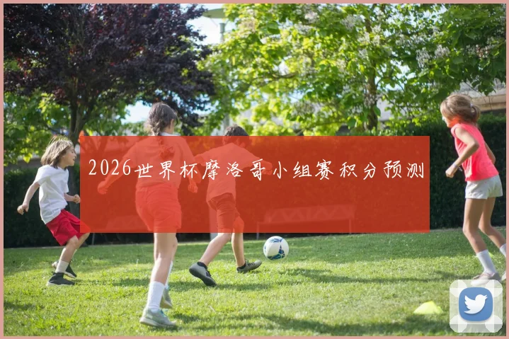 2026世界杯摩洛哥小组赛积分预测